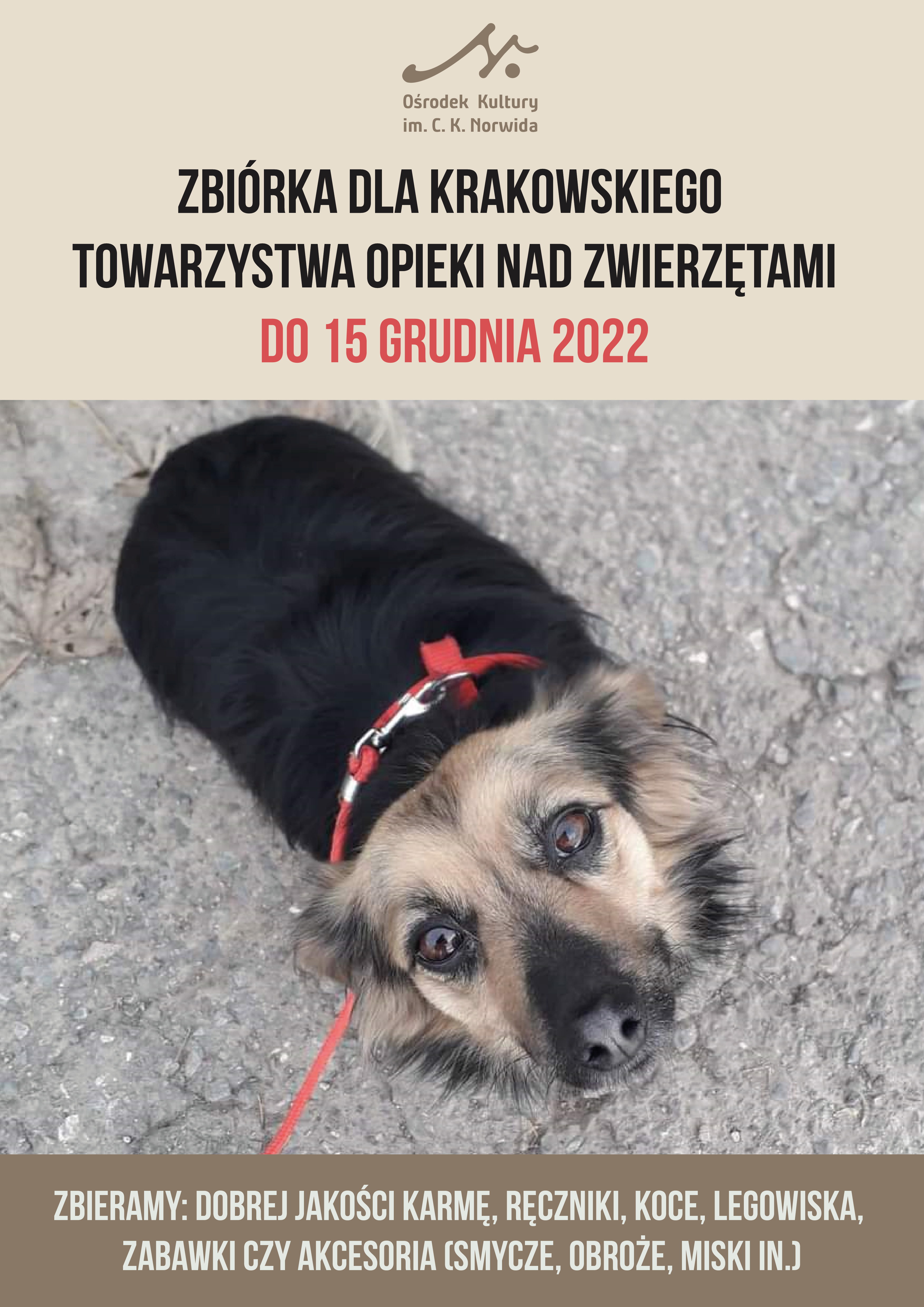 Plakat z pieskiem-kundelkiem spoglądającym do góry. Piesek ma czerwone szelki. U góry logo ośrodka i napis "Zbiórka dla Krakowskiego Towarzystwa Opieki nad Zwierzętami do 15 grudnia 2022"